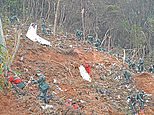 Black box of doomed Chinese jet is found