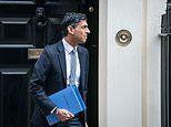 SPRING STATEMENT IN BRIEF: What it means for you and the economy