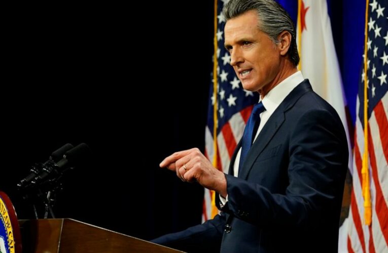 Newsom wants tax rebate, touts ‘California Way’ of governing