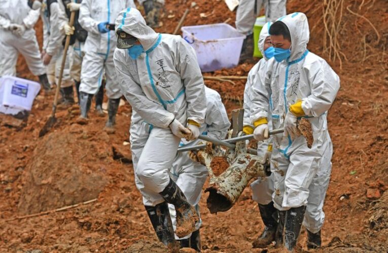 China says no survivors in plane crash with 132 on board