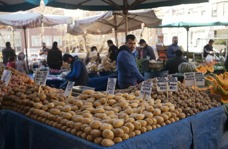Turkish central bank doesn’t change rates as inflation soars