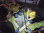 Man rescued after two days stuck 15ft underground in a 16in-wide storm pipe near San Francisco