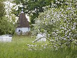 Traditional orchards are VANISHING from the landscape with more than 80% lost since the early 1900s