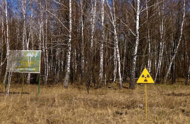 Ukrainian officials were shocked to find radioactive contamination increased after Russian troops left the Chernobyl power plant, site of the 1986 nuclear disaster