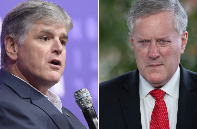 ‘That’s not OK’: Bash reacts to Hannity’s texts to Meadows