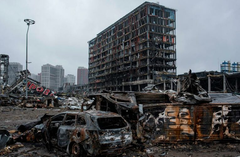 Opinion: A Ukrainian author shares her raw and darkly comical war diary