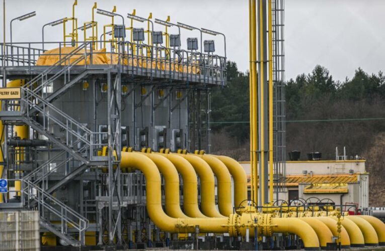 Analysis: Can Europe get by without Russian gas?