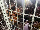 British ‘drugs kingpin’ faces LIFE in a Philippines hell-hole jail