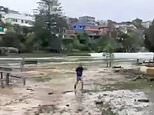 Sydney waves: Moment man is wiped out by freak wave