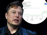 Republicans PRAISE Elon Musk for ‘stepping up’ to Big Tech by buying a stake in Twitter