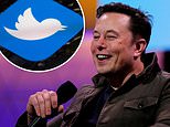 SEC could probe Elon Musk after he made $156M profit on Twitter before disclosing his 9% stake