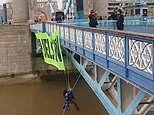 Eco mob CLOSE Tower Bridge: Activists ABSEIL to unfurl banner