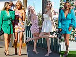 Glamorous racegoers let their hair down as they arrive at Aintree for Ladies Day festivities 