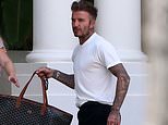 Cannabis oil products backed by David Beckham and Darren Clarke to be withdrawn after testing probe