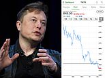 Elon Musk will NOT join the board of Twitter: CEO says ‘I believe this is for the best’