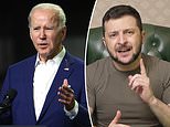 Biden calls Zelensky and offers over $800m in weapons as Putin plans to intensify Donbas attacks