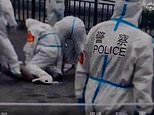 Video shows cops pin down and arrest Shanghai locals who resist their homes becoming isolation hubs