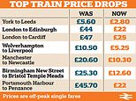 Train ticket prices will be slashed by up to HALF in April and May to ease cost of living 