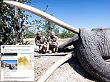 Trophy hunter kills Botswana’s biggest ‘tusker’ elephant – sparking fury from country’s ex-president