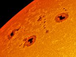 Astronomers discover immense swarms of sunspots that could lead to solar flares