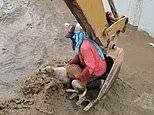 Builders use their digger to rescue dog from drowning in an irrigation channel in Ecuador [Video]