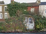 Neighbour is ‘forced to rebuild garden wall’ due to out of control vines on next door’s home in Kent