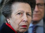 Princess Anne is expected to replace Prince Harry as head of Royal Marines