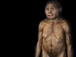 British anthropologist believes there’s evidence another ‘Homo’ species could still be alive
