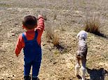 Adorable moment little boy helps reunite a lost lamb with its mother in China [Video]