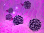 HPV jab using same tech as AstraZeneca Covid vaccine could combat cervical cancer in adults
