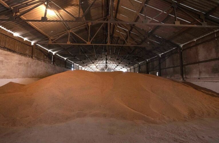 Global finance meeting focuses on war-driven food insecurity