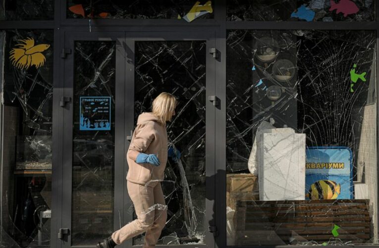 Russia’s war to shrink Ukraine economy 45%