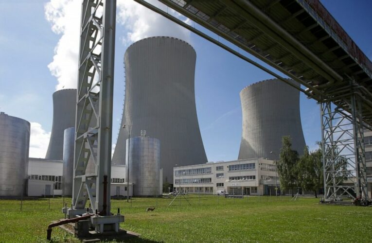 Westinghouse, Framatom to supply fuel to Czech nuclear plant