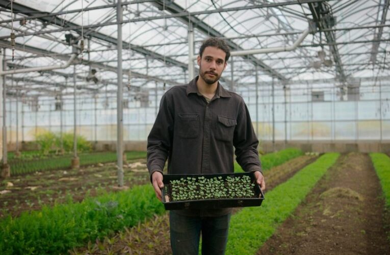 Rockefeller’s $105M plan to produce climate-friendly food