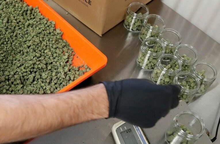 Feeling ‘right,’ ‘safe,’ people greet cannabis sales in NJ