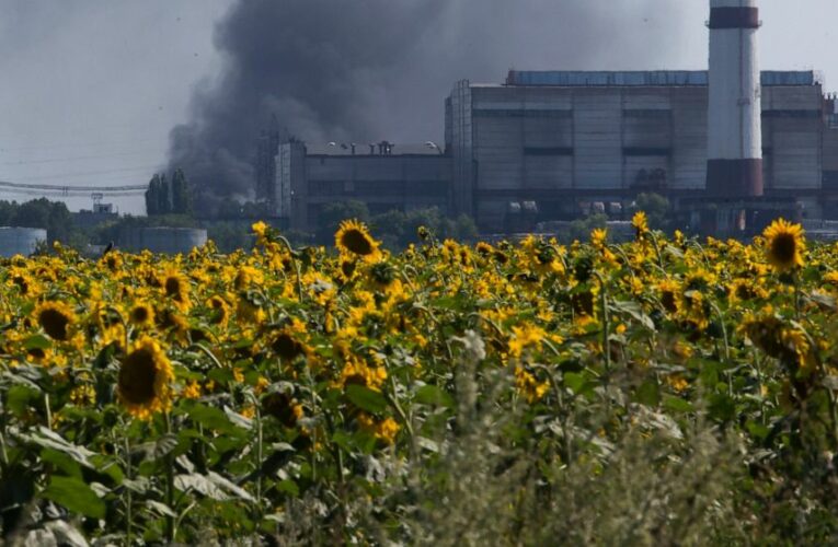 Food prices soar to record levels on Ukraine war disruptions