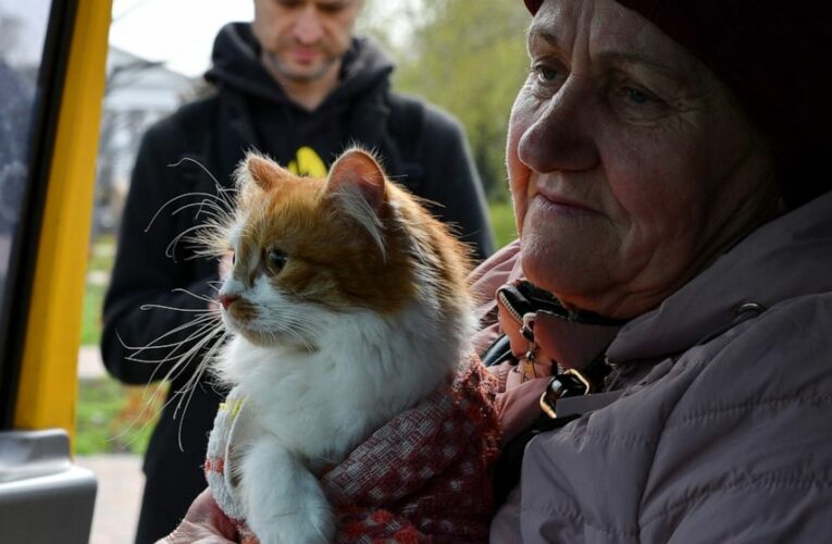 Live Updates | Czech prosecutors probe Ukraine war crimes