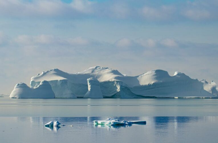Florida-sized glacier in Antarctica is melting. The entire food chain is impacted