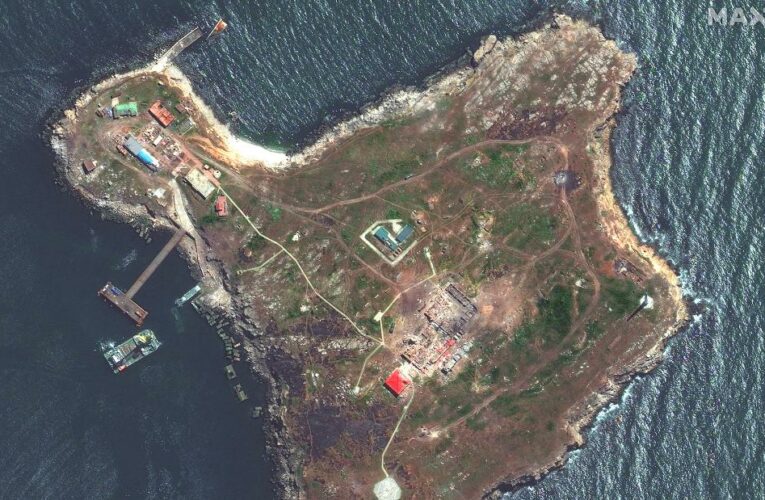 Snake Island: 46 acres of rock and grass in the Black Sea has taken on a totemic significance