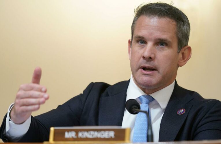 Kinzinger: GOP lawmaker says he’s ‘open’ to AR-15 ban