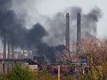 Russia resumes pulverising Mariupol steel mill following a brief ceasefire, Ukrainian fighters say