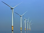 Boom in wind and solar power will see huge surplus of electricity go to waste in 2030