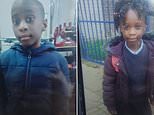 Boy and girl twins aged six go missing from the front garden of their south London home