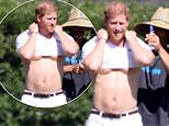 Prince Harry goes semi-shirtless at polo match – as Palace hatches plan to STOP Netflix at Jubilee