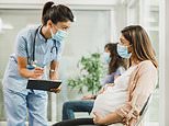 Vegan diet could make it tougher for women to fall pregnant if it depletes nutrients, expert warns 