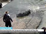 Fisherman and crocodile come face to face in an epic battle over a barramundi 