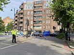 Woman dog walker, 41, and three dogs are killed in Chelsea road crash