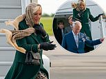 Prince Charles and Camilla face blustery weather in Ottawa  