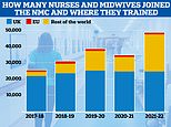 Half of new nurses trained overseas, latest figures show