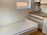 Tiny London studio flat has bed within touching distance of the KITCHEN sink up for £595 a month